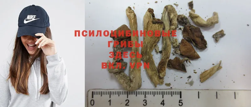 Псилоцибиновые грибы MAGIC MUSHROOMS  Карабулак 